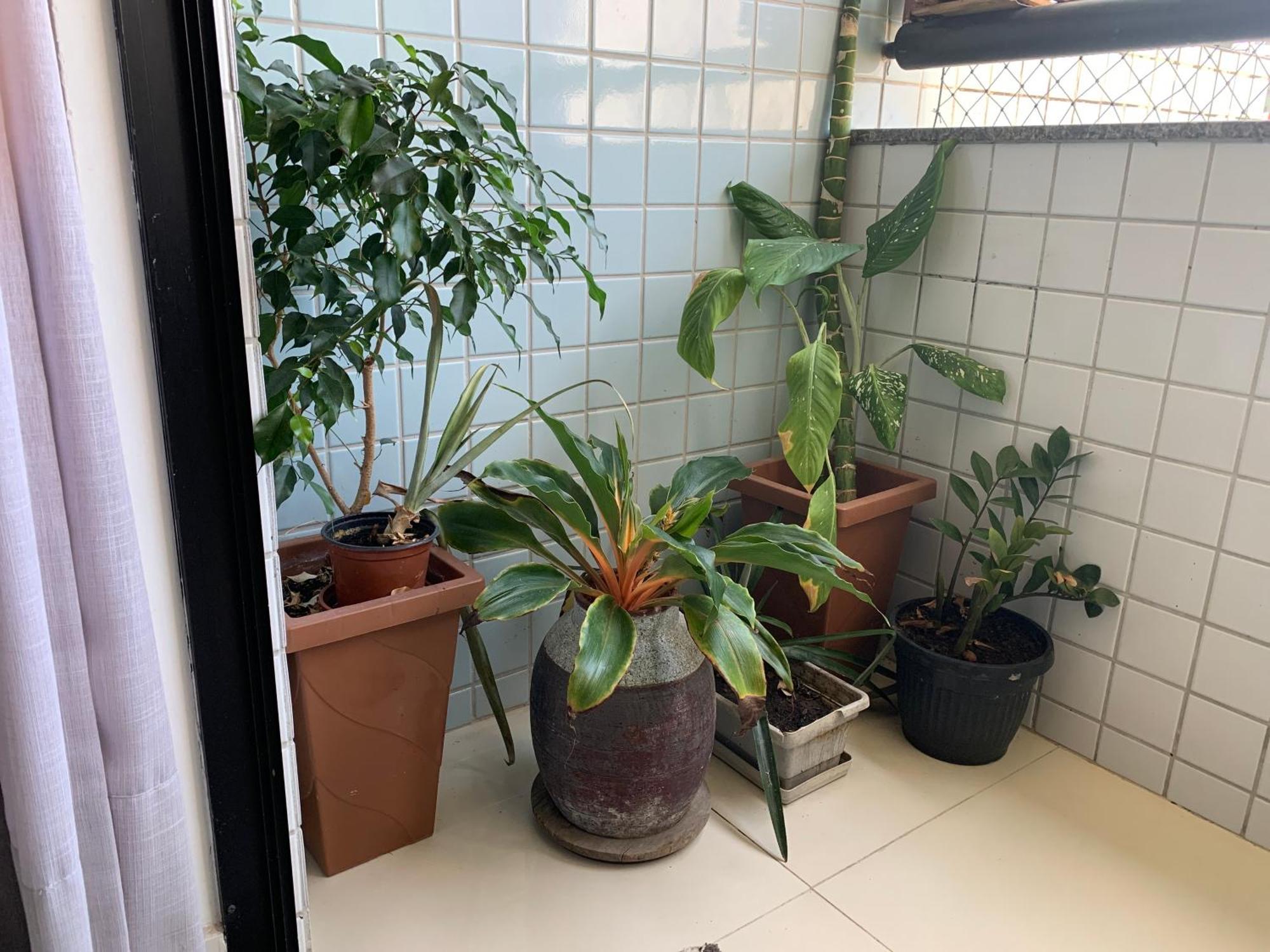 Casa Da Vovo Apartamento *